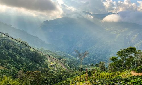 colombia, mountains, trees-7899699.jpg